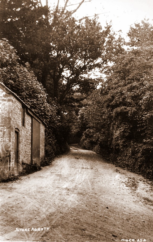 Stoke Abbott Postcards by Claude Hider